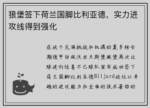 狼堡签下荷兰国脚比利亚德，实力进攻线得到强化